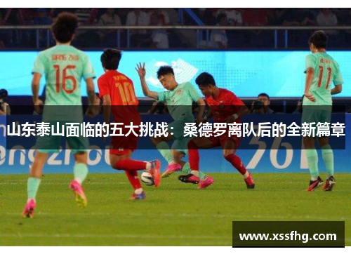 山东泰山面临的五大挑战：桑德罗离队后的全新篇章